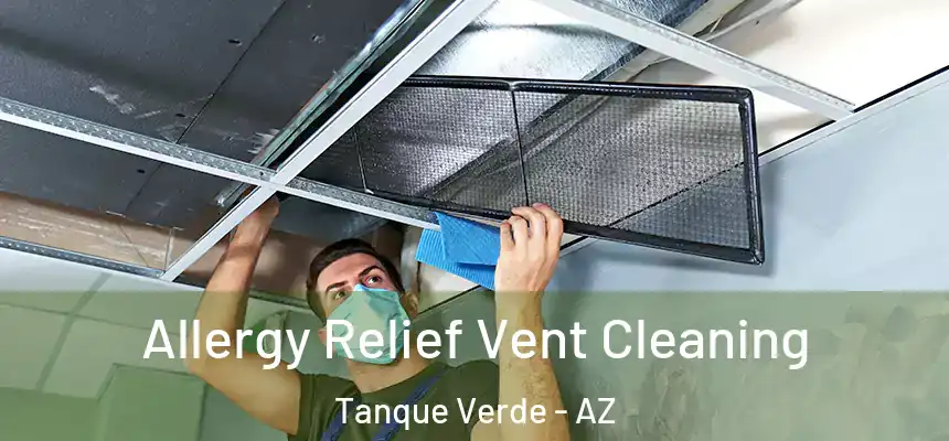  Allergy Relief Vent Cleaning Tanque Verde - AZ
