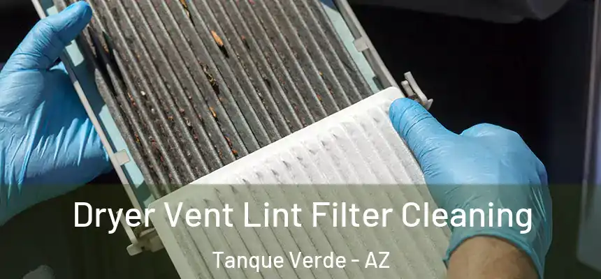 Dryer Vent Lint Filter Cleaning Tanque Verde - AZ