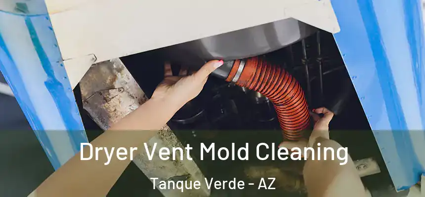  Dryer Vent Mold Cleaning Tanque Verde - AZ