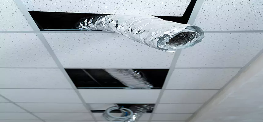 Affordable HVAC Sanitizing After Pest Removal in Tanque Verde