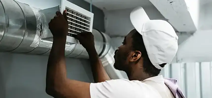 Our Licensed And Insured Cleaners in Tanque Verde, AZ