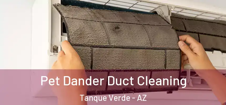  Pet Dander Duct Cleaning Tanque Verde - AZ