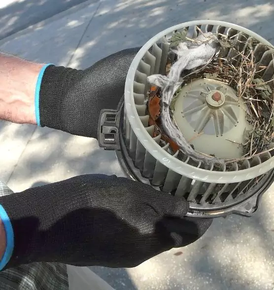 About Air Duct Mice Removal in Tanque Verde, AZ