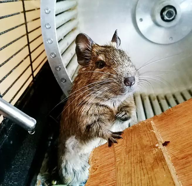 Why Homeowners & Businesses Trust Us Tanque Verde, AZ