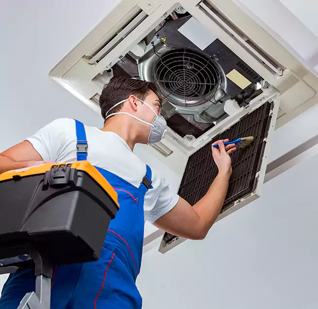 Why Homeowners & Businesses Trust Us in Tanque Verde, AZ