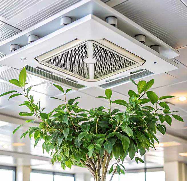 Why Homeowners & Businesses Trust Us in Tanque Verde, AZ