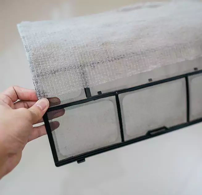 Why Homeowners & Businesses Trust Us in Tanque Verde, AZ?