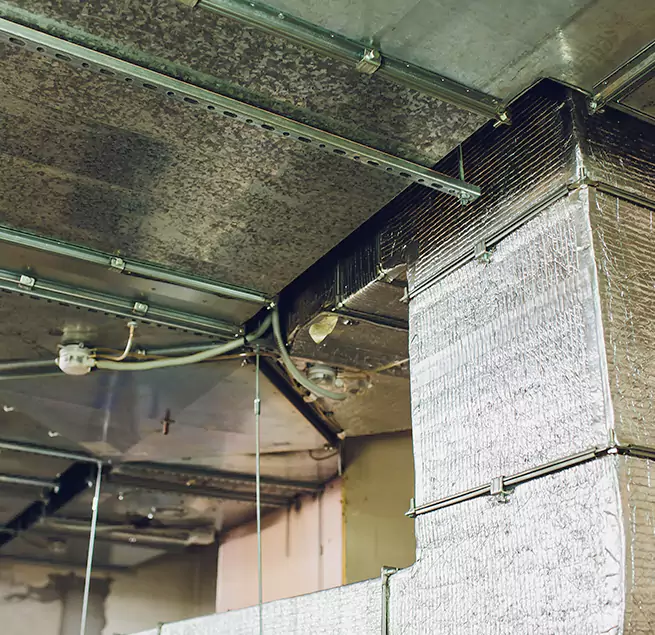 Why Homeowners & Businesses Trust Us in Tanque Verde, AZ?