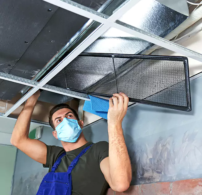 Why Homeowners & Businesses Trust Us in Tanque Verde, AZ?